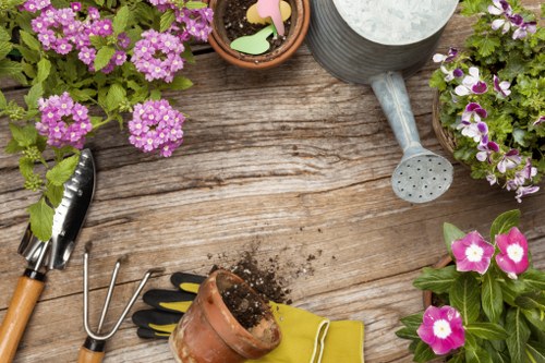 Overview image showing a gardener at work in Anerley garden
