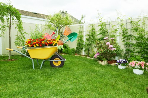 Professional gardener inspecting plants in Anerley