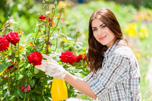 Eco-friendly lawn mowing practices in Anerley garden