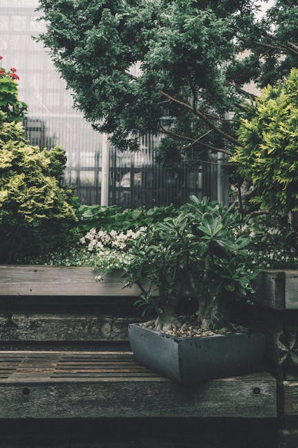 A small terrace garden featuring a variety of lush green plants and trees. In the foreground, there is a rectangular planter box with a large, leafy shrub, surrounded by pebbles inside the pot. The we
