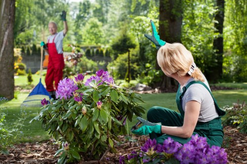 Professional gardener working in Anerley garden