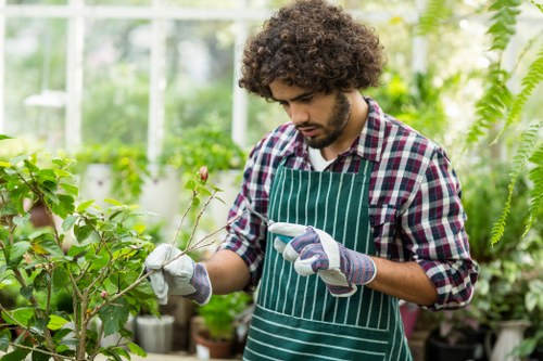 A young man with curly brown hair, wearing a green and white striped apron, gloves, and a checkered shirt, is carefully inspecting a flowering plant in a well-lit greenhouse or garden center. The environment features an array of lush green foliage, including shrubs, ferns, and potted plants arranged on shelves and the ground, with natural light filtering through transparent panels overhead. The garden space displays a variety of textures from leafy plants to smooth ceramic pots, and the scene suggests active horticultural work, possibly part of gardening or landscaping services offered by Gardener Anerley. The overall setting emphasizes healthy, vibrant plants and a clean, organized outdoor or indoor garden environment with a focus on plant care and gardening expertise, typical of professional landscaping and lawn care services in Anerley, London postcode SE20.
