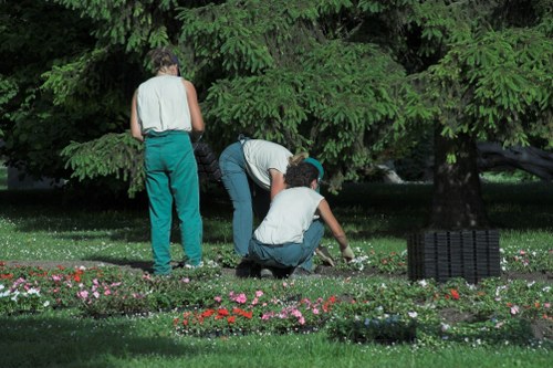 In this outdoor garden scene, three individuals are engaged in gardening activities within a landscaped yard. The garden features a lush, well-maintained lawn area with dense green grass, bordered by a flower bed containing small, colorful flowering plants in shades of pink, red, and purple. In the background, there is a large leafy tree with thick, dark green foliage providing shade over the garden. One person is standing, wearing a light-colored sleeveless top and teal trousers, observing the scene, while another is bent over, tending to the plants or soil, dressed in a light shirt and dark trousers. The third individual is kneeling on the grass, actively planting or weeding, wearing a sleeveless top and light-colored trousers. The overall environment suggests a typical residential garden in Anerley, with natural light illuminating the scene, indicating a clear, bright day. The image reflects maintenance and gardening work that might be part of services offered by Gardener Anerley, supporting local outdoor care in the Anerley area.